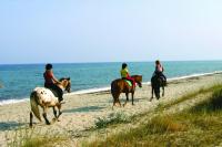  Centre Equestre la Marana